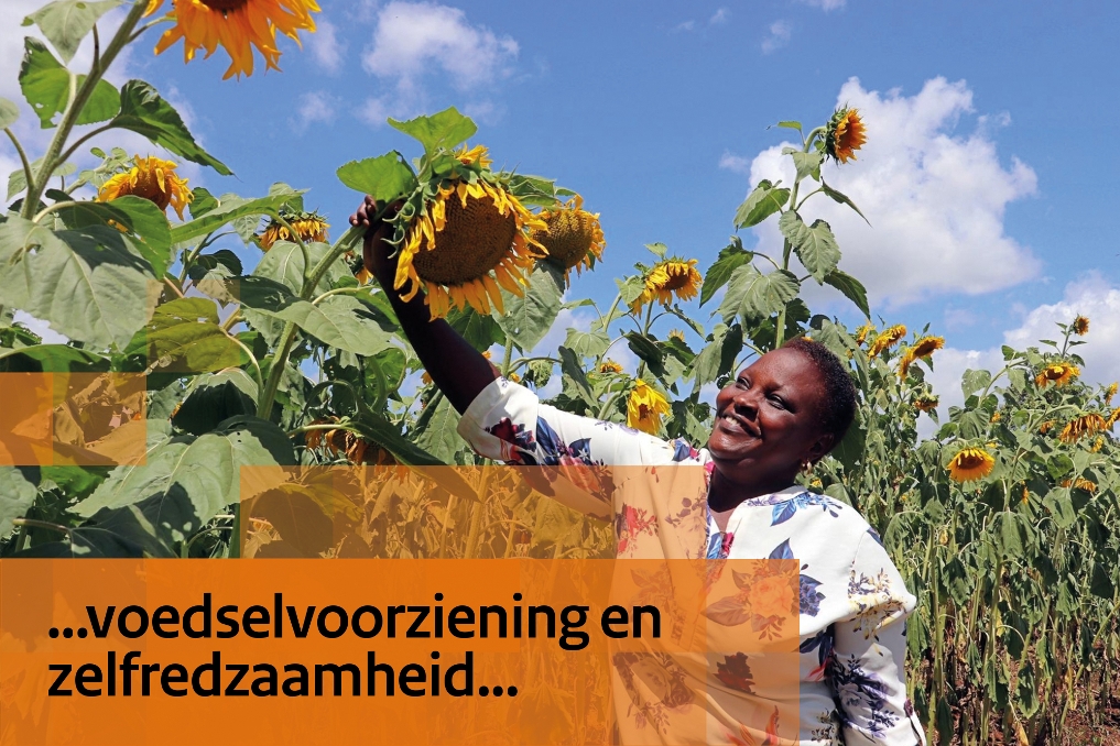 Vrouw bij zonnebloemenveld. Bij BZ werk je aan thema's als wereldwijde voedselvoorziening en zelfredzaamheid