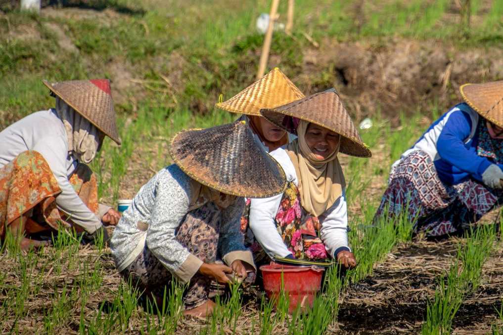 Vrouwen op de rijstakker, bij BZ werk je aan thema's als de gevolgen van klimaatverandering
