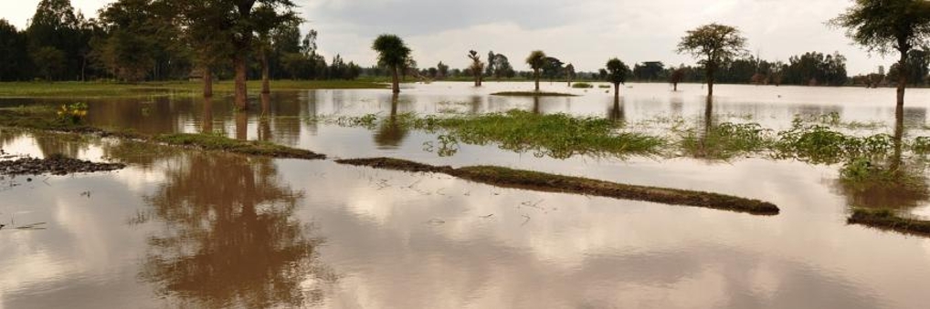 Watersnoodramp Zuid-Limburg