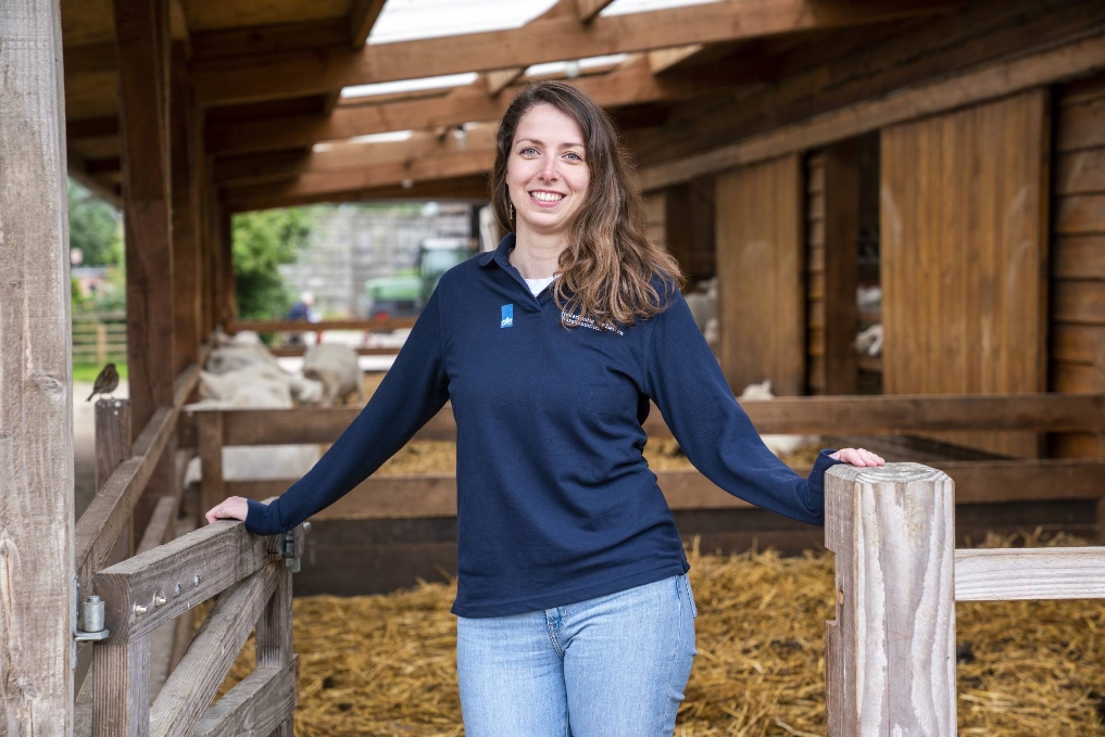 Toezichthoudend dierenarts Chrissy bij een veehouderij